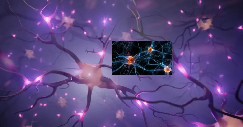 Neuronas afectadas por uso celular de un niño
